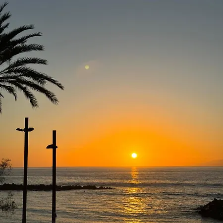 Piteras * Arona (Tenerife)